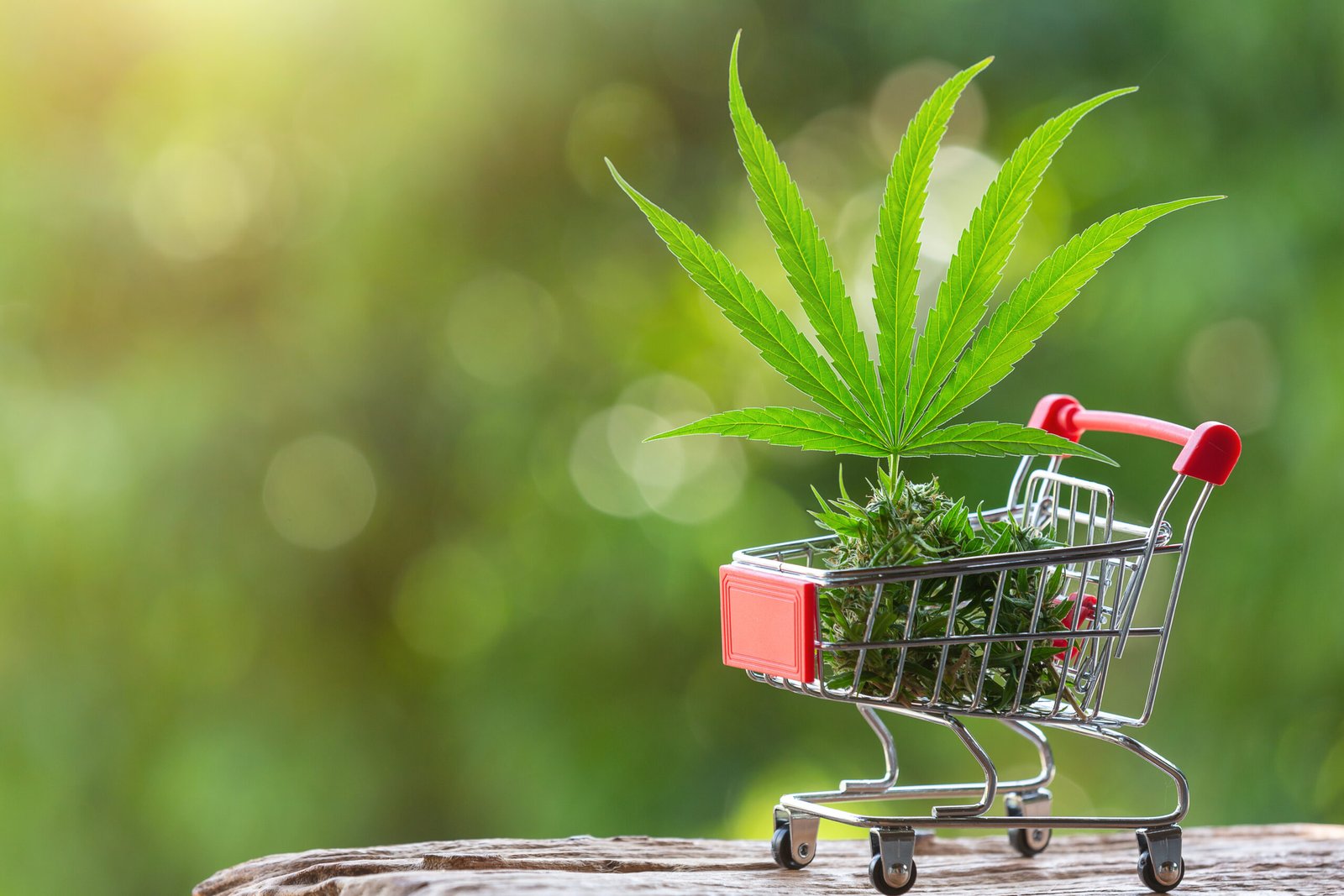 Are Edibles Legal in Oklahoma State?