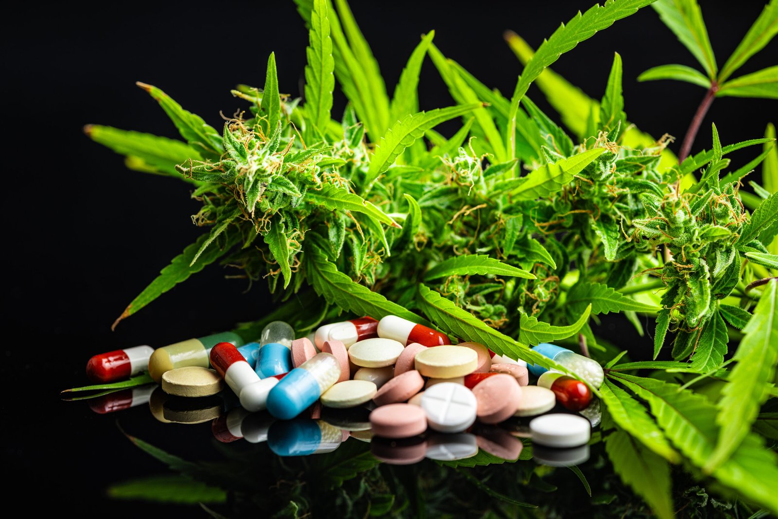 Medical Marijuana Card for PTSD in Oklahoma