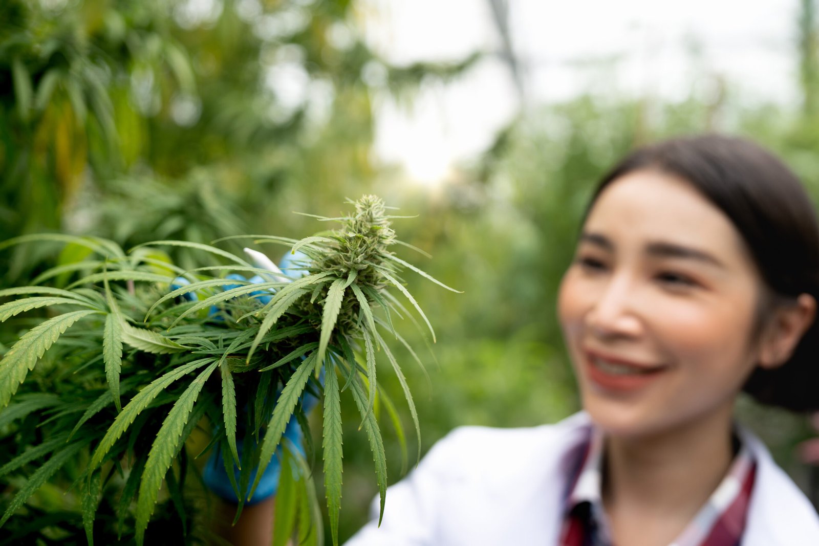 Cost of a Medical Marijuana Card in Oklahoma