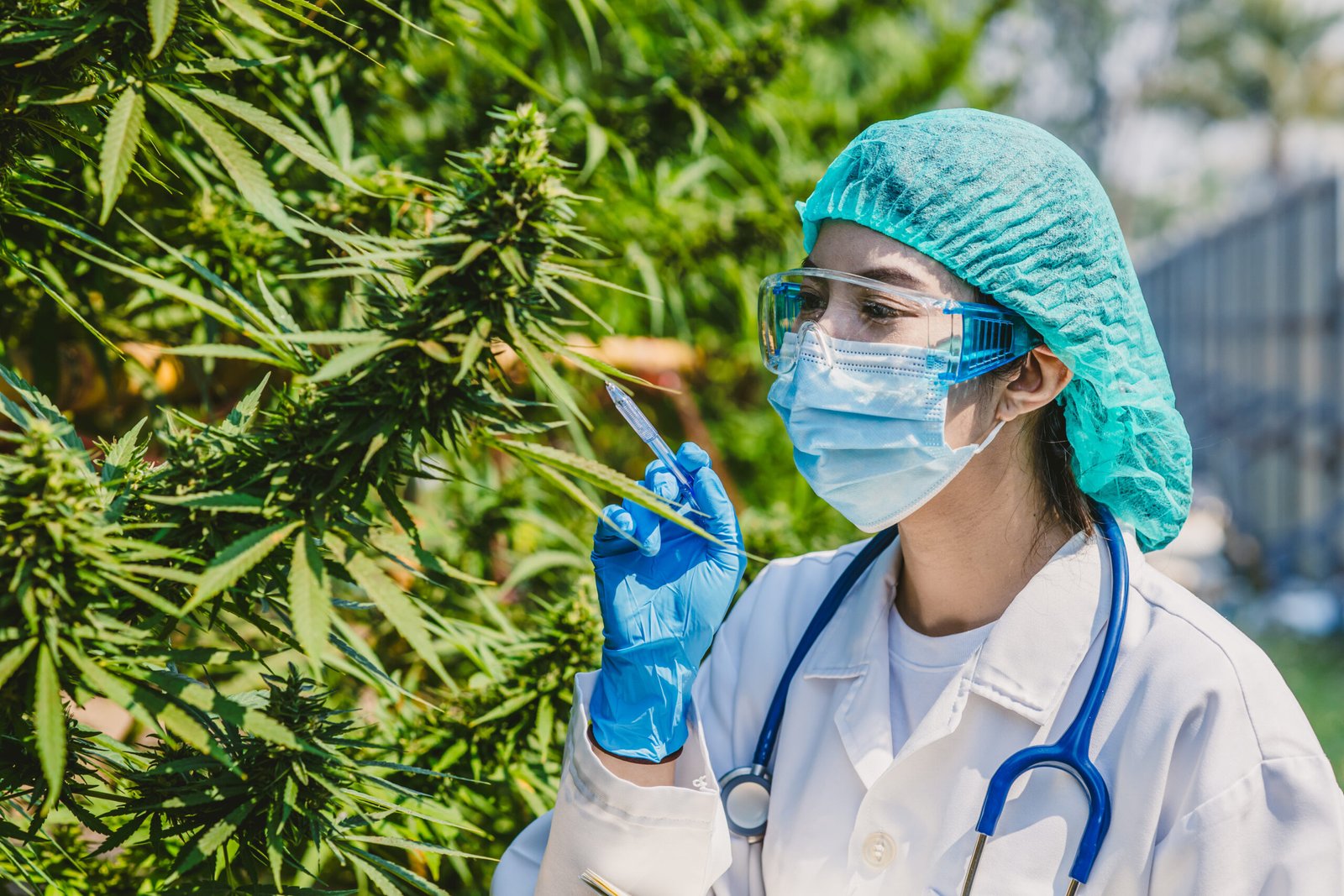 Get Oklahoma Medical Marijuana Card with a Criminal Record