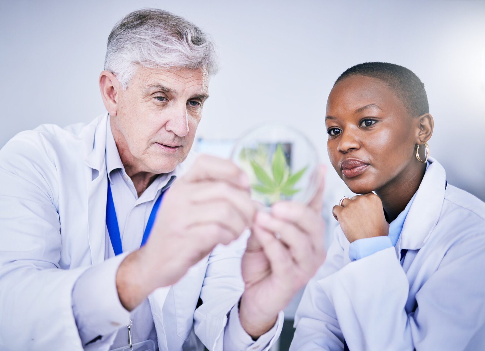 Be a Teacher with a Marijuana Card in Oklahoma?