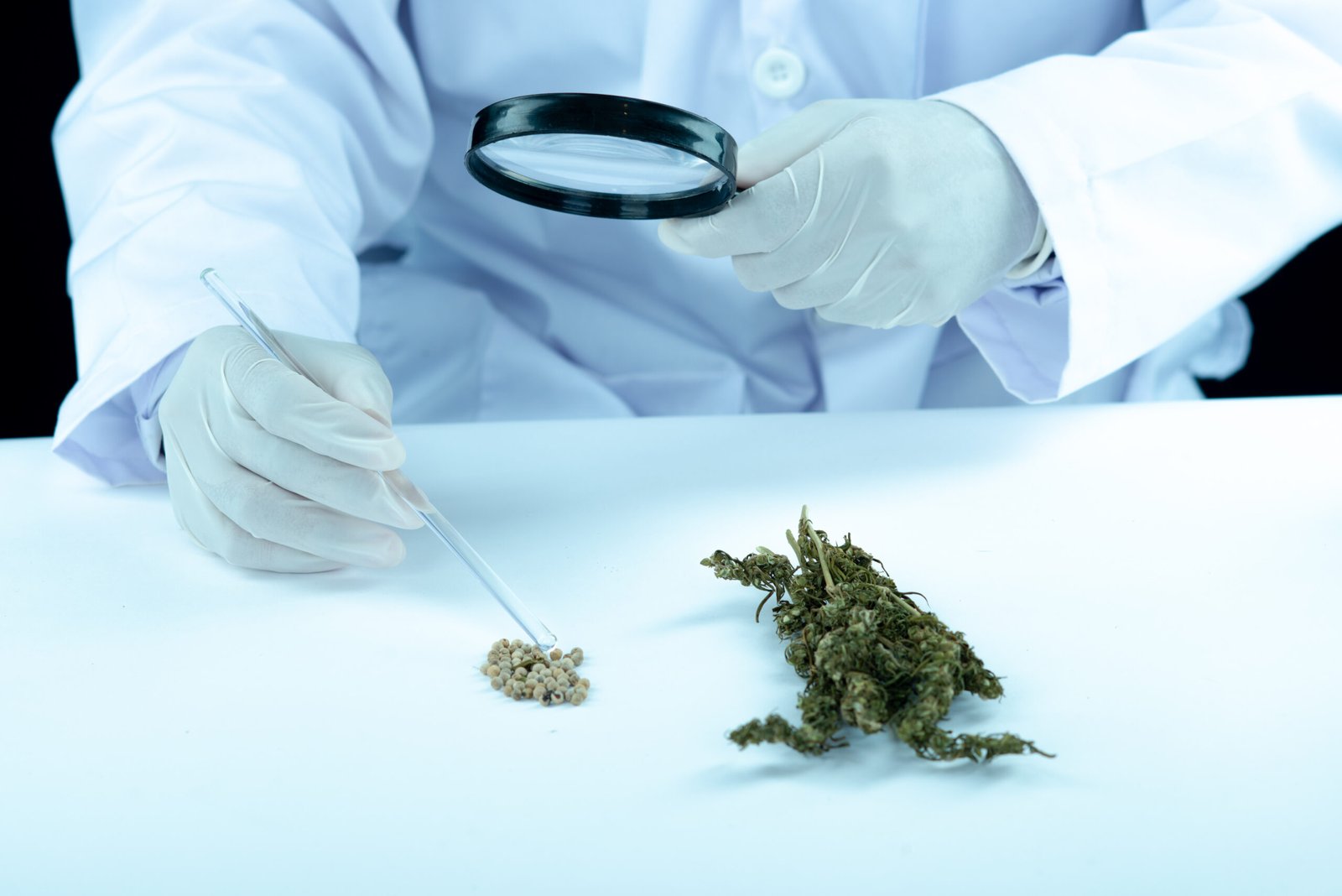 Marijuana Card for Seniors in Oklahoma