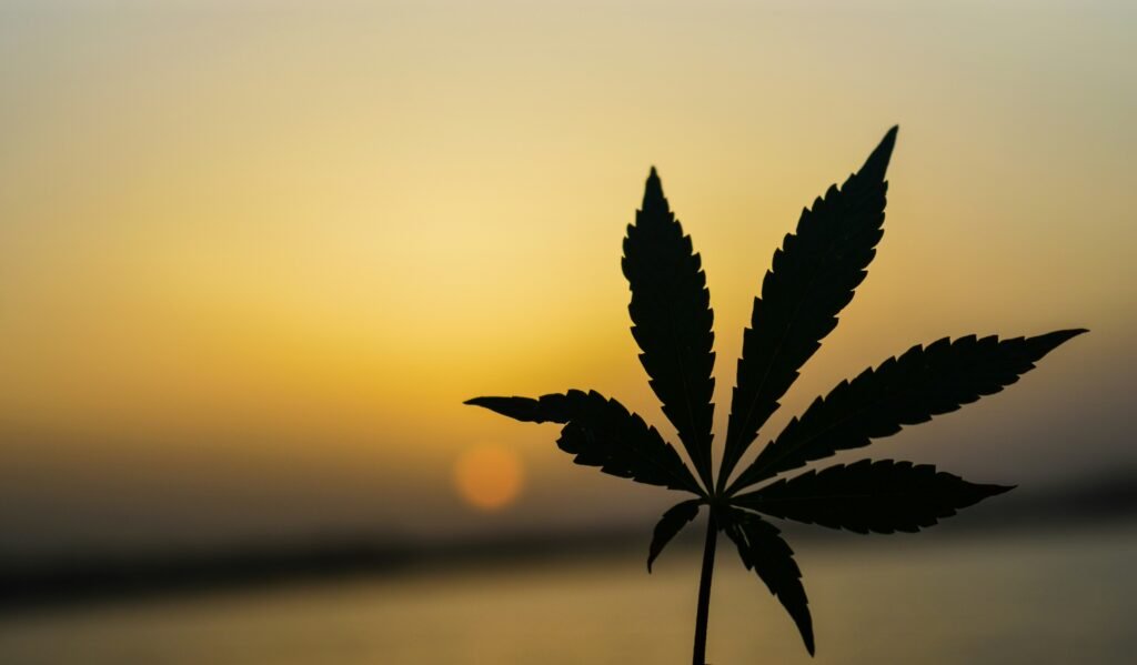 Marijuana Card Not Working in Oklahoma: Why?