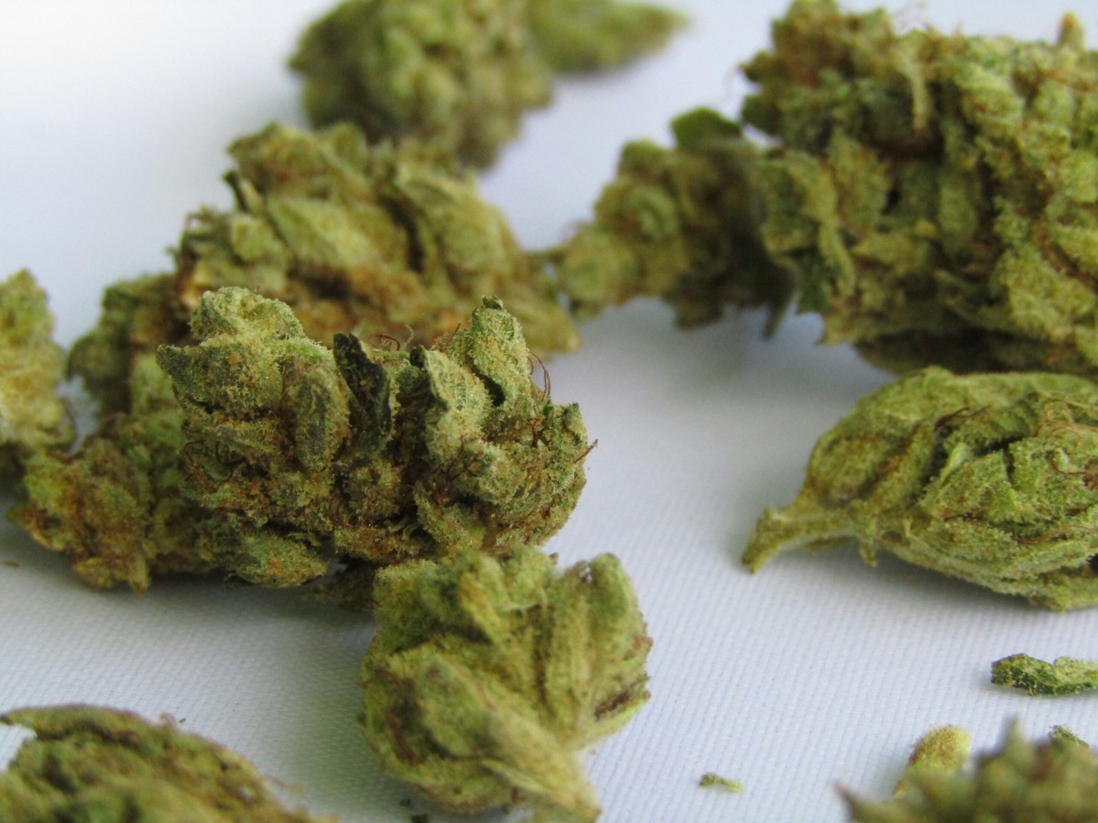 Join Military with a Marijuana Card in Oklahoma?