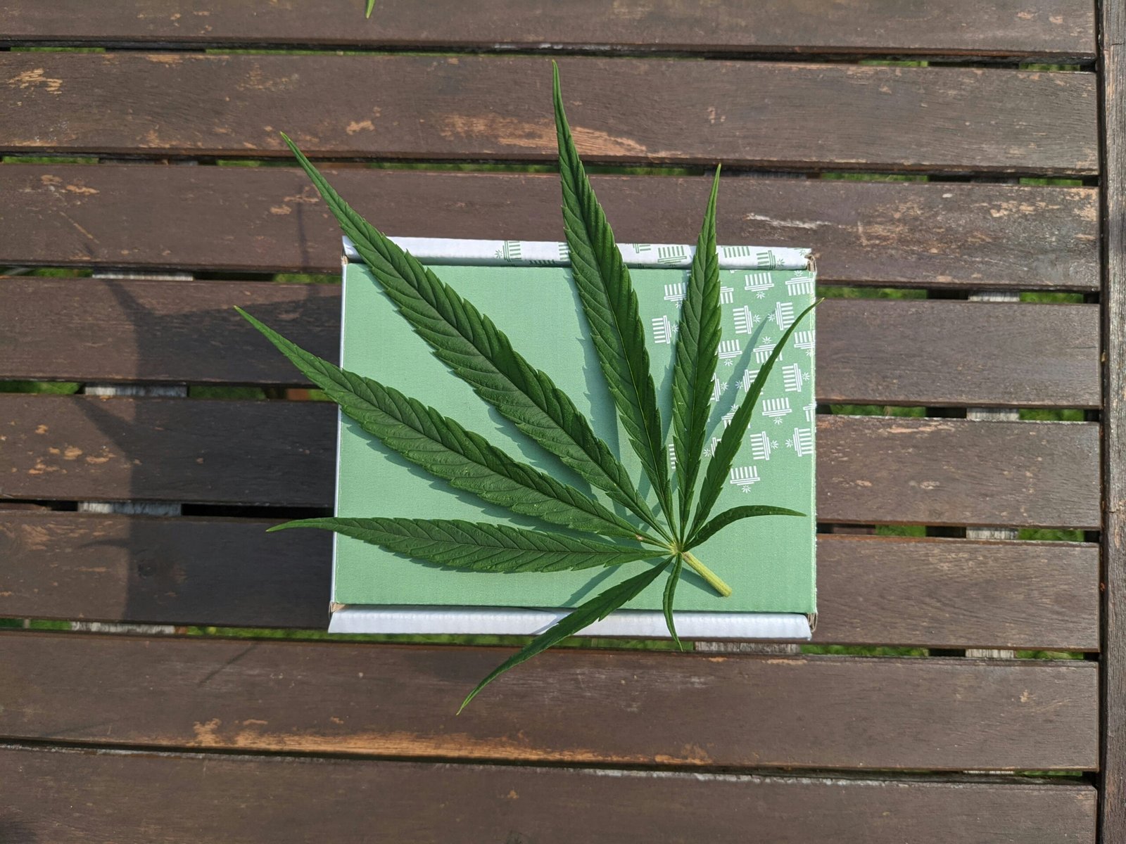 Schools and Students with Marijuana Cards in Oklahoma